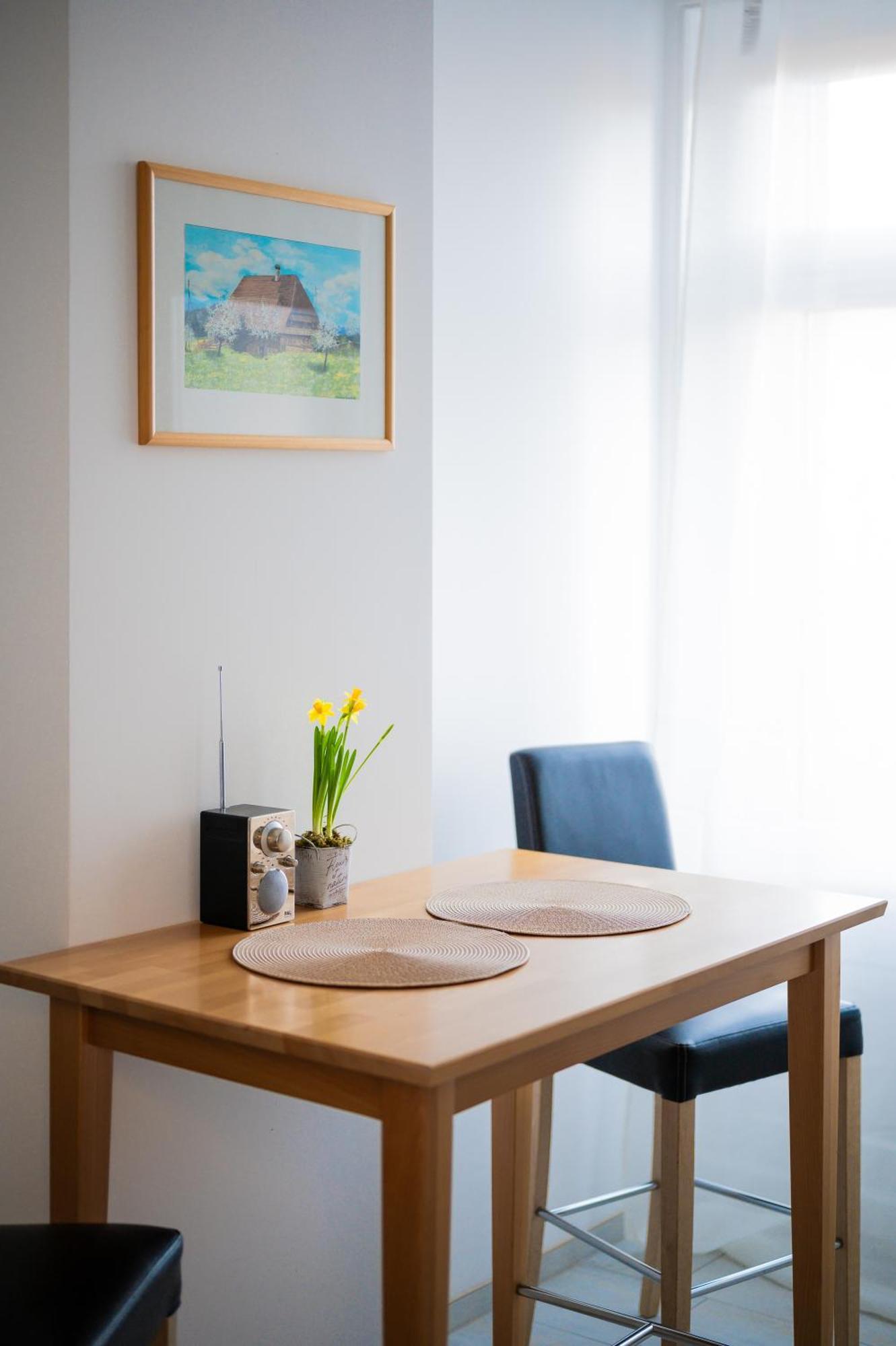 שאפהאוזן Gruben Apartments 2 Schlafzimmer מראה חיצוני תמונה