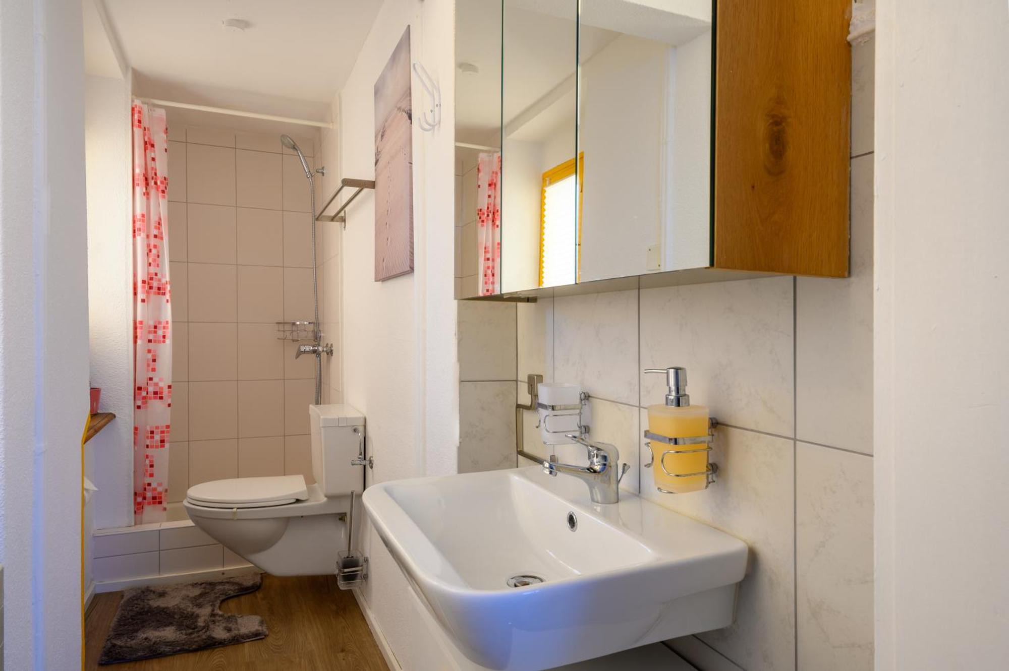 שאפהאוזן Gruben Apartments 2 Schlafzimmer מראה חיצוני תמונה